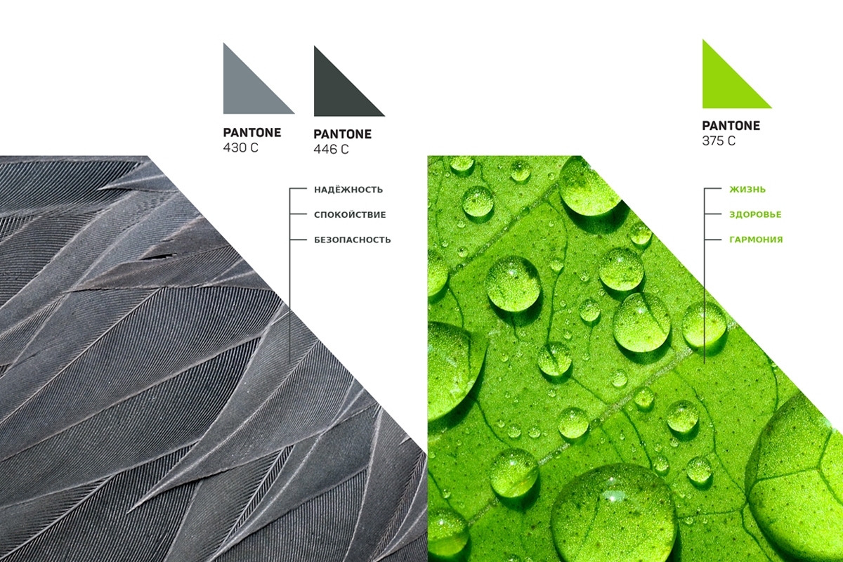 Разработка фирменного стиля | "Белалек"